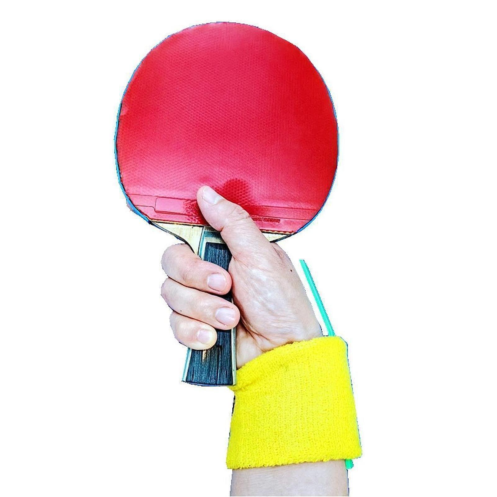 Pemosisian latihan tenis meja, - Table Tennis Touch ulasan dan harga