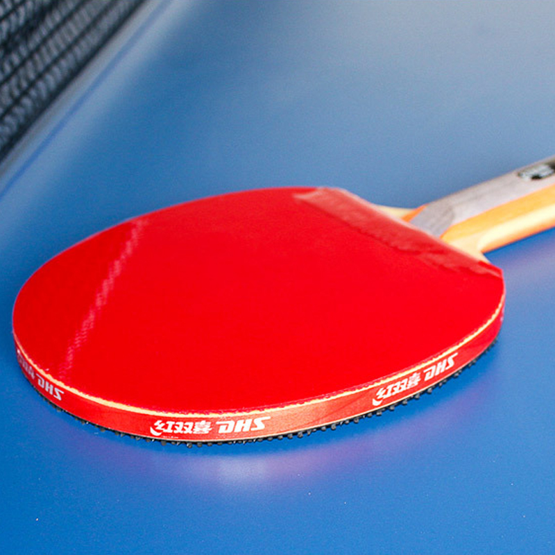 DHS Raket Tenis Meja Berpereka - Table Tennis Grip Tape ulasan dan harga